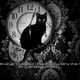 Illustration for article titled The Cat Lady review